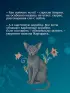 Граф Аверин. Колдун Российской империи (подарочное издание)