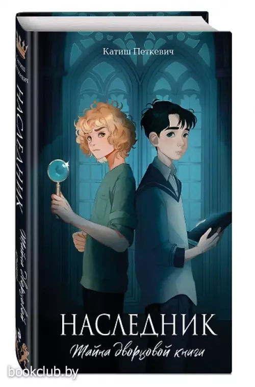 Наследник. Тайна дворцовой книги