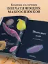 Семена и зерна. Иллюстрированный атлас. Удивительные факты о сельскохозяйственных культурах и их влияние на развитие человечества
