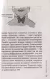 Страсти по щитовидке. Аутоиммунный тиреоидит, гипотиреоз: почему иммунитет работает против нас? (м)