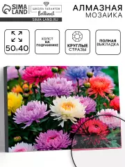 Алмазная вышивка полное заполнение «Астры», на раме, 40×50 см