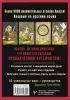 Таро Духов-хранителей. Помощь и подсказки небесных защитников (55 карт и руководство)