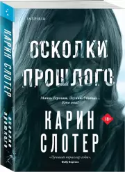 Осколки прошлого, Карин Слотер