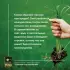 Сорняки под контролем. Избавляемся от нежелательных соседей Сорняки под контролем. Избавляемся от нежелательных соседей