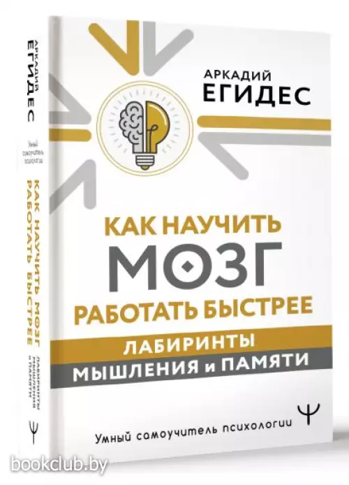 Как научить мозг работать быстрее. Лабиринты мышления и памяти