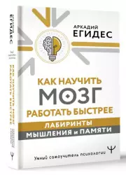 Как научить мозг работать быстрее. Лабиринты мышления и памяти