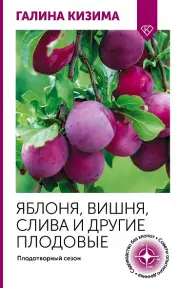 Яблоня, вишня, слива и другие плодовые. Плодотворный сезон