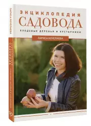 Энциклопедия садовода. Плодовые деревья и кустарники, Лариса Кочелаева