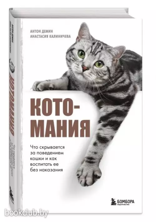Котомания. Что скрывается за поведением кошки и как воспитать ее без наказания