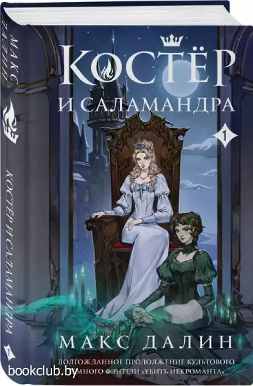 Костер и Саламандра. Книга 1