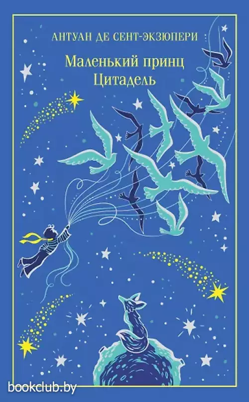 Маленький принц. Цитадель