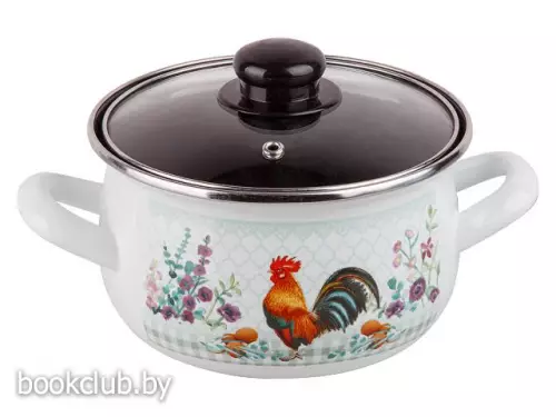 Кастрюля стальная эмалированная 