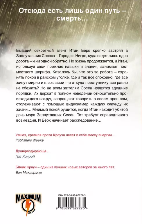 Сосны. Заплутавшие Сосны. Заплутавшие