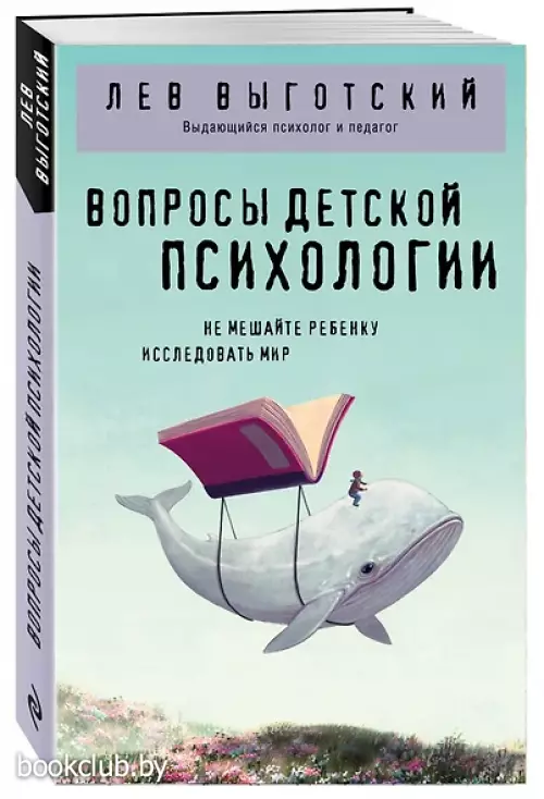 Вопросы детской психологии (Философия в кармане)