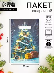 Пакет подарочный новогодний «Сказочного Нового Года», 20х30 см, 30 мкм