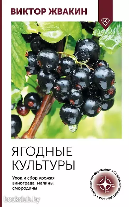 Ягодные культуры. Уход и сбор урожая винограда, малины, смородины