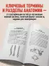 Тетрадь-шпаргалка по анатомии