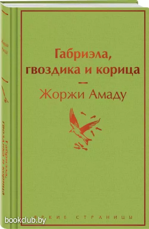Габриэла, гвоздика и корица (Яркие страницы)