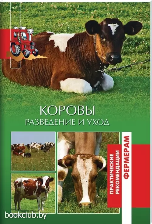 Коровы. Разведение и уход