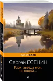 Гори, звезда моя, не падай..., Сергей Есенин