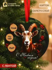 Елочная игрушка со скретч-слоем «С Новым Годом 2027»,12.4×14.6 см