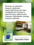 Здоровая спина. 10 эффективных комплексов упражнений