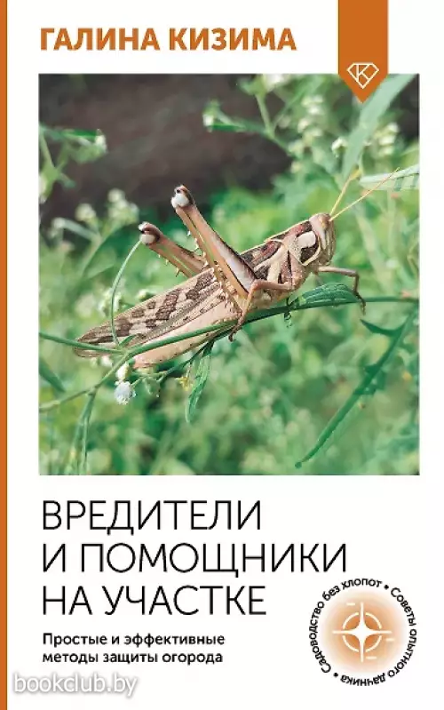 Вредители и помощники на участке. Простые и эффективные методы защиты огорода