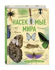 Насекомые мира. Детская энциклопедия