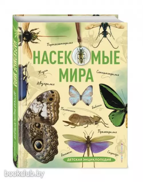 Насекомые мира. Детская энциклопедия