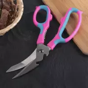 Ножницы кухонные для мяса и рыбы «Краски», 20 см 