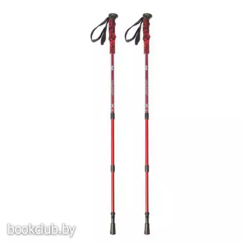 Комплект из 2-х палок для скандинавской ходьбы, трехсекционные