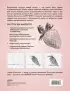 Скетчинг! Техника быстрых зарисовок для начинающих. Пошаговые уроки