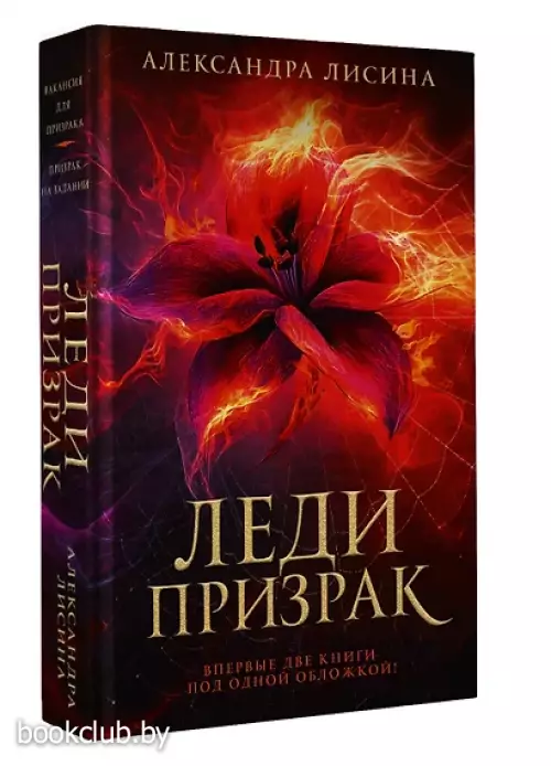 Леди-призрак: Вакансия для призрака, Призрак на задании