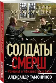 Дорога особого значения, Александр Тамоников