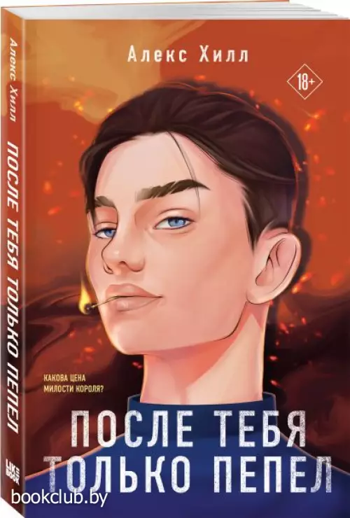 После тебя только пепел (416с.)