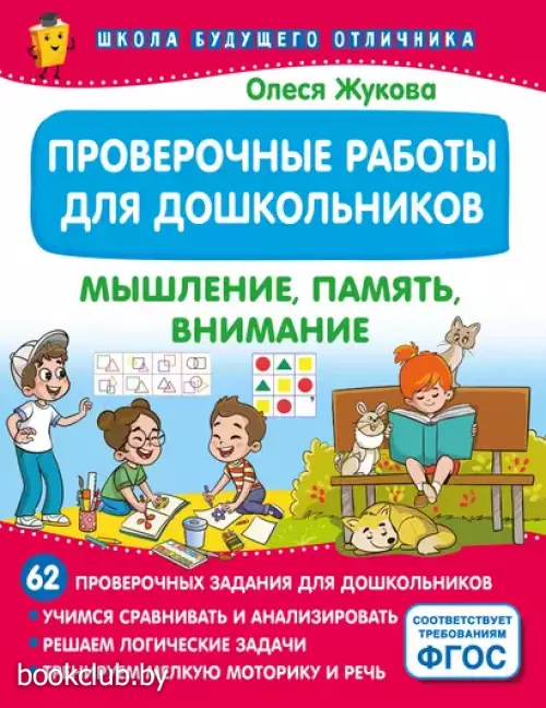 Проверочные работы для дошкольников. Мышление, память, внимание