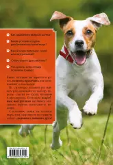 Все о собаках (м), Андрей Шкляев