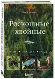 Роскошные хвойные: виды, посадка, уход