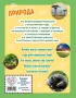 Природа. Большая энциклопедия для маленьких