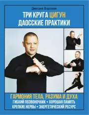 Три круга Цигун. Даосские практики, Дмитрий Воропаев