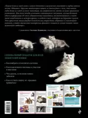 Кошки. Самая полная иллюстрированная энциклопедия, Светлана Дудникова, Ольга Есауленко Кошки. Самая полная иллюстрированная энциклопедия, Светлана Дудникова, Ольга Есауленко