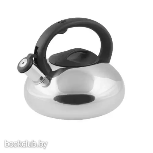 Чайник со свистком Ufo, 2,9 л, серебристый металлик