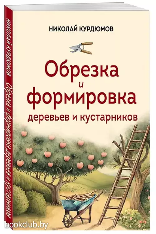 Обрезка и формировка деревьев и кустарников