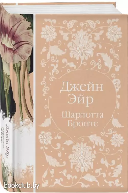 Джейн Эйр (Элегантная классика)