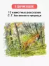  Рассказы о природе