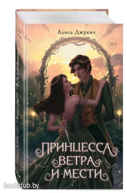 Принцесса ветра и мести