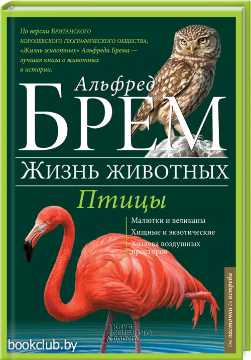 Птицы. Л-Я. Птицы. Л-Я.