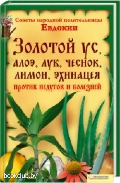 Золотой ус, алоэ, лук, чеснок, лимон, эхинацея против недугов и болезней Золотой ус, алоэ, лук, чеснок, лимон, эхинацея против недугов и болезней