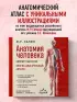 Анатомия человека. Компактный атлас. Опорно-двигательный аппарат