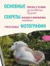 Мой нежный зверь. Маленькое конструкторское чудо на спицах. Игрушки, связанные без сшивания деталей